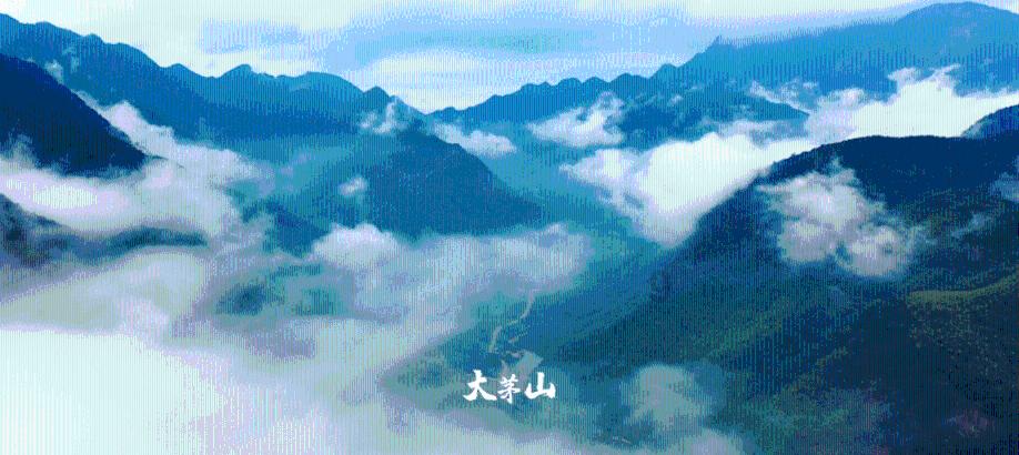 为什么现在流行网红商业街?你喜欢打卡网红街吗?-华龙网在线回答
